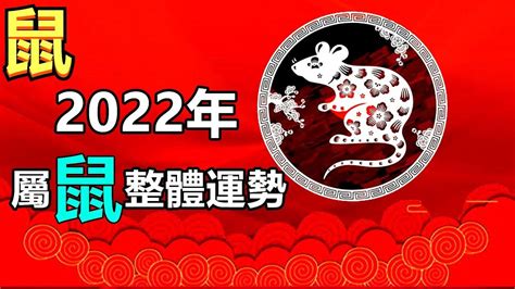 2022年生肖|2022年生肖运势：2022年十二生肖运势详解、2022年属相运势